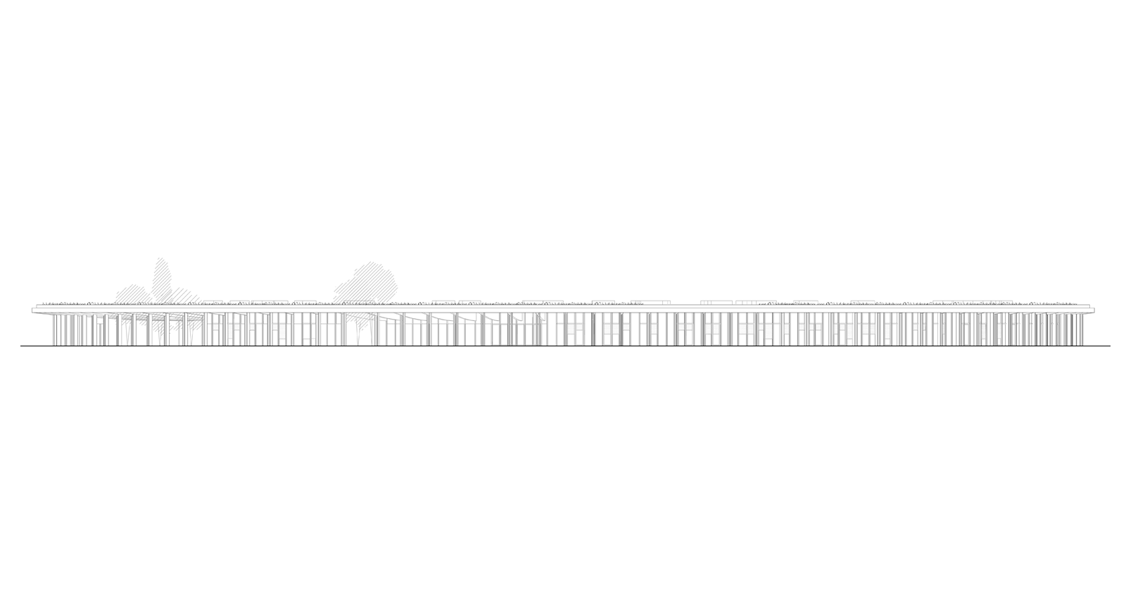 cintolese-school-elevation