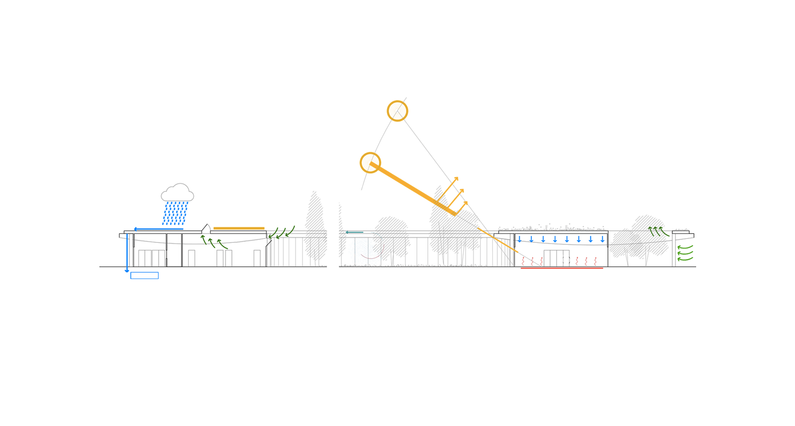 cintolese-school-sustainability